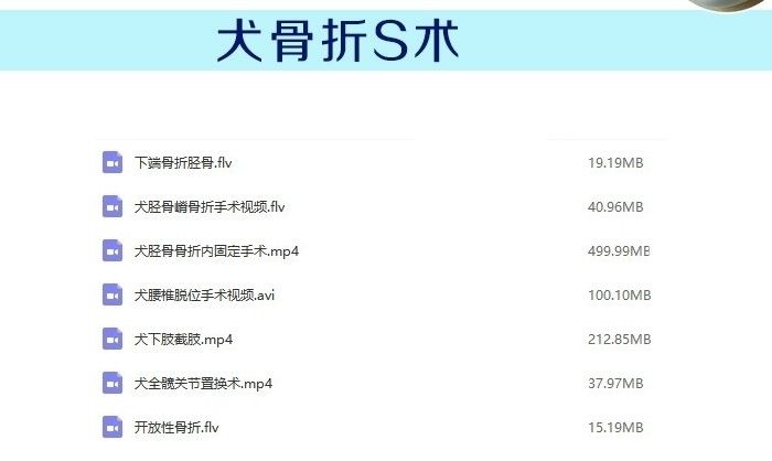 yangkeduo019985 (2).jpg