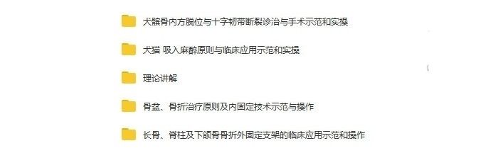 yangkeduo019985 (1).jpg