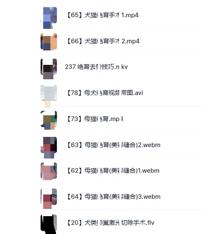 yangkeduo386031 (1).jpg